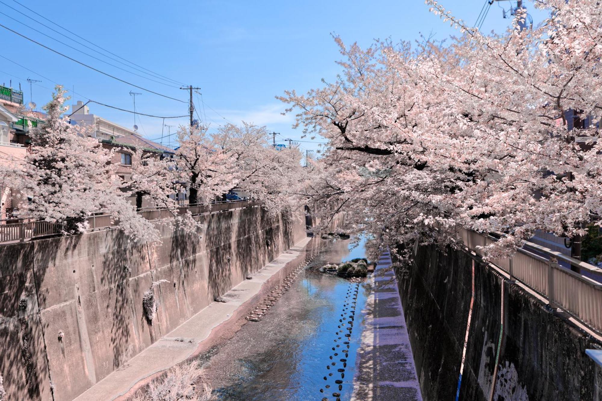 Calm Riverside Inn Close To Ikebukuro Tokio Exterior foto